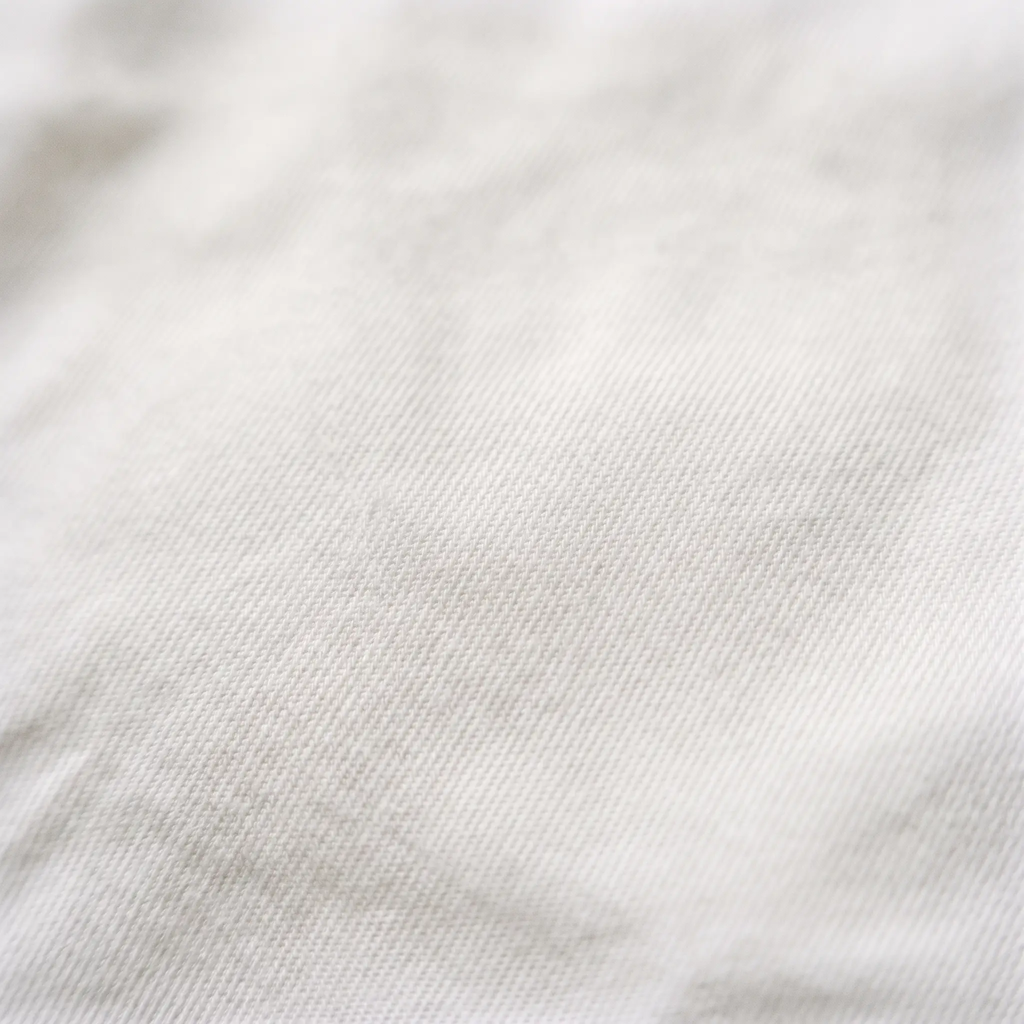 Cotonificio Albini — Giza 87 Twill