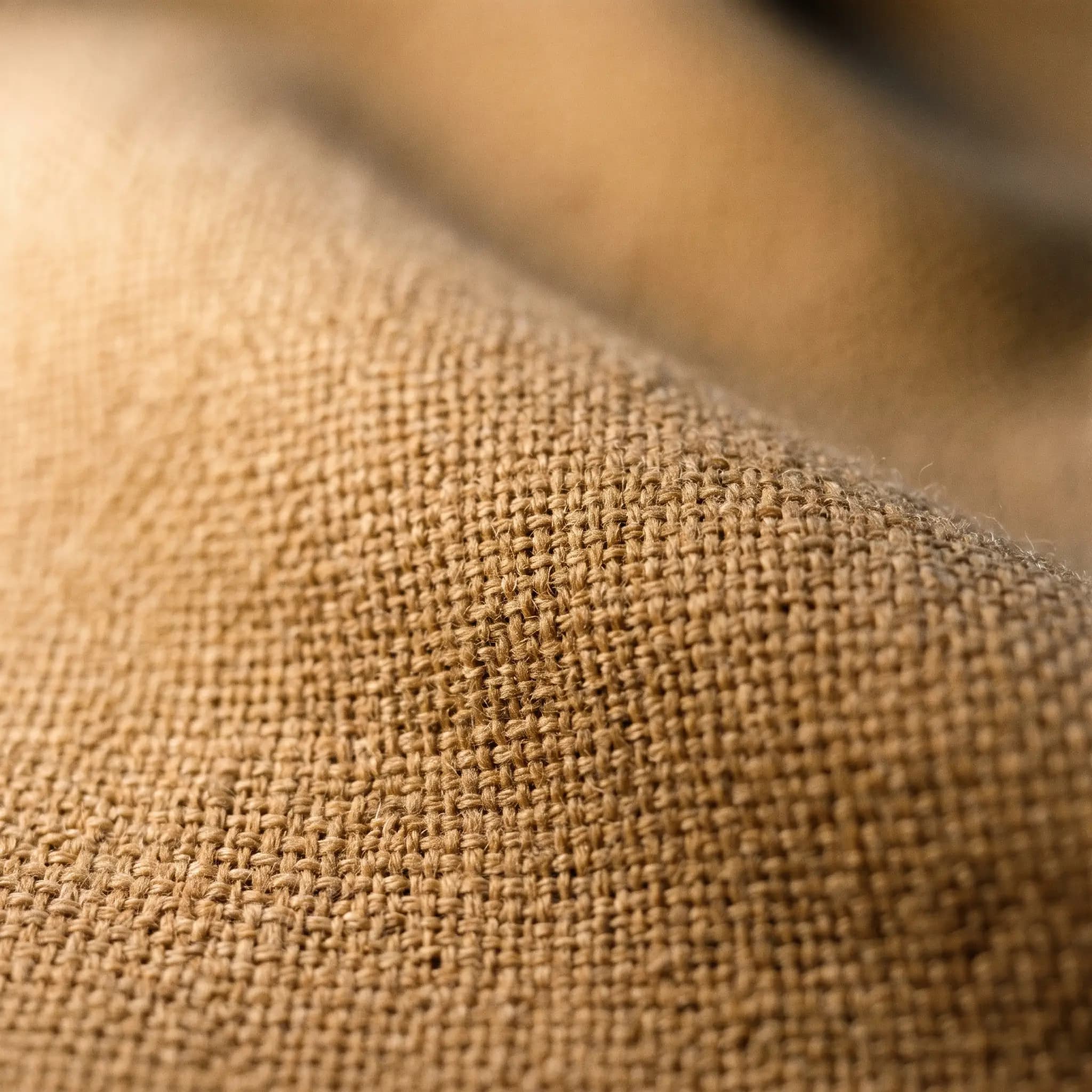 Drapers Italy · cloth